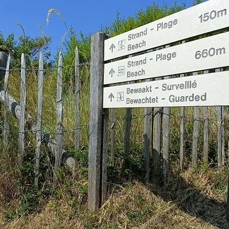 In Near * De Haan